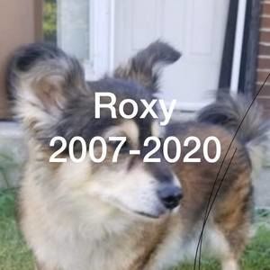 Meet your Posher, Nathalie